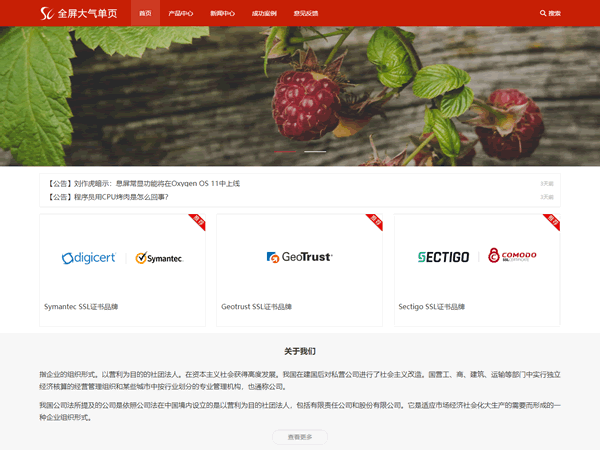 企业官网|全屏大气单页